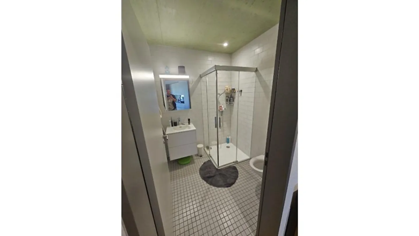 3½ ROOM APARTMENT IN ZUCHWIL (SO), FURNISHED, TEMPORARY - Photo 10 of 10