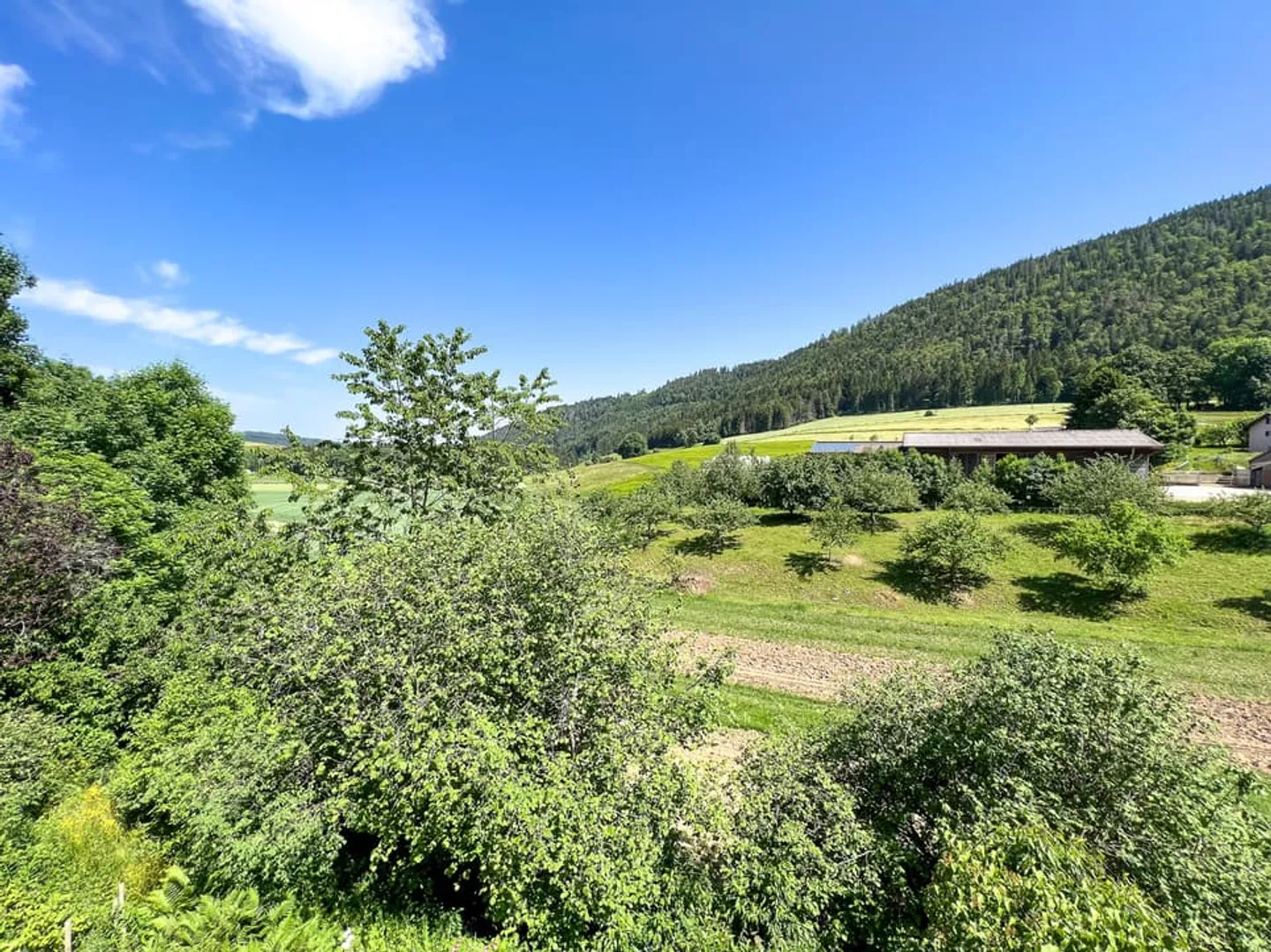 Haus mit Wohnung, Werkstatt, Garage und Lagerfläche Gesamtfläche von 700 m2 - Foto 2 von 13