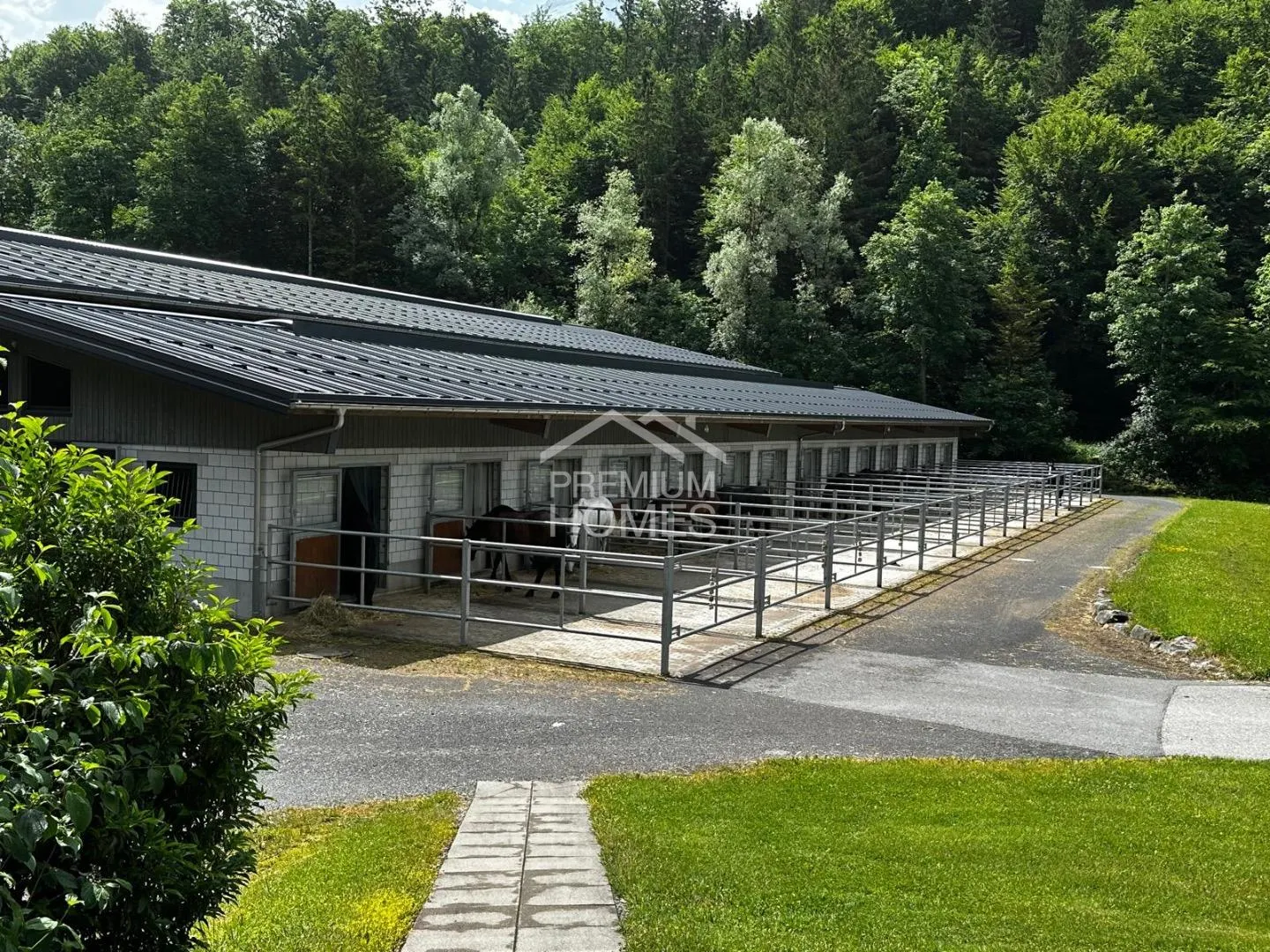 Professional Equestrian Facility with 24 Stalls, Riding Arena, and Residential House! - Photo 12 of 13