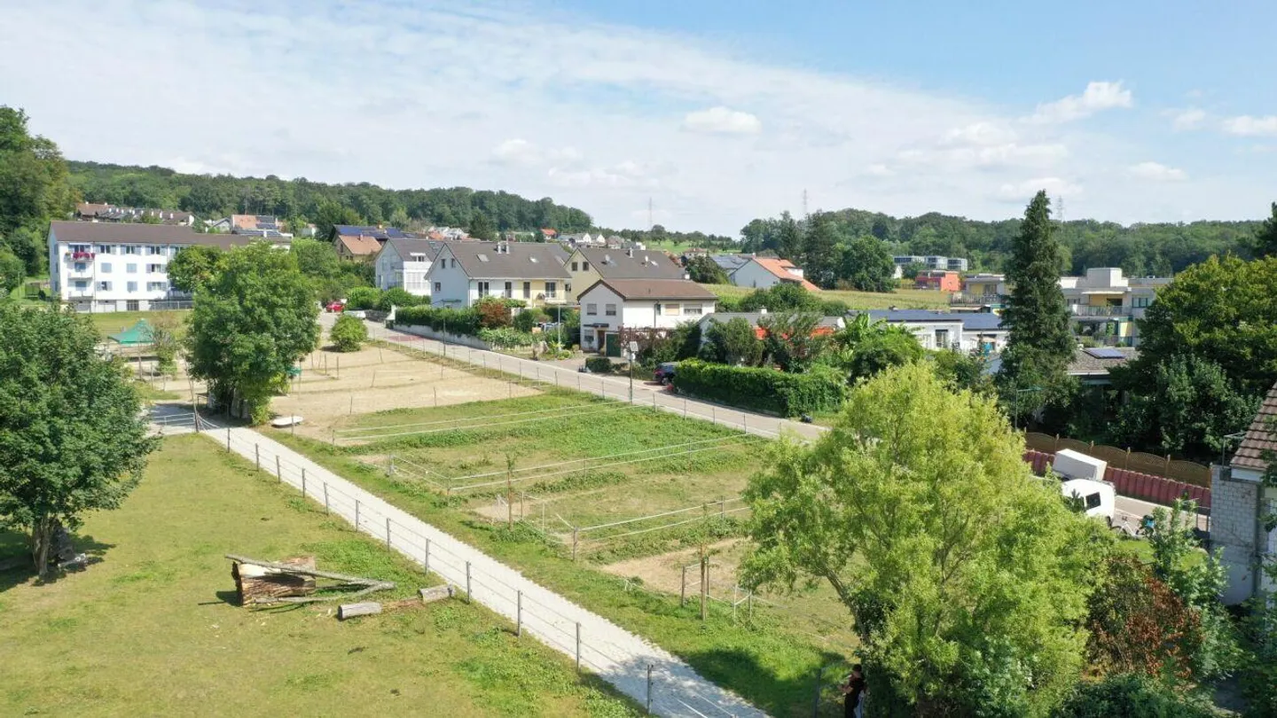 Sonnige 4.5 Zimmer Wohnung - Foto 6 von 6