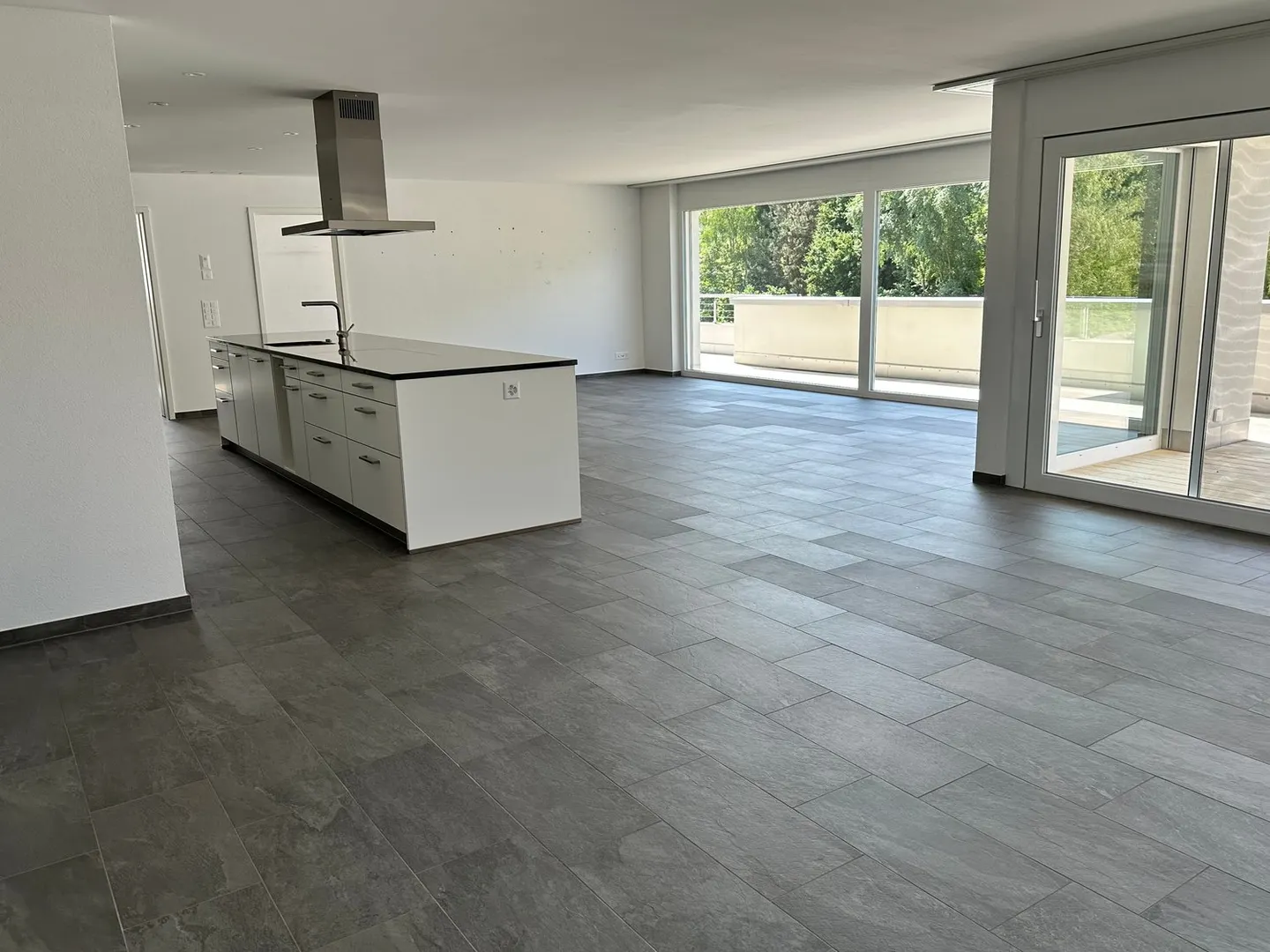 Appartement penthouse de 4,5 pièces élégant avec des équipements de haute qualité et vue sur la verdure - Photo 7 sur 28