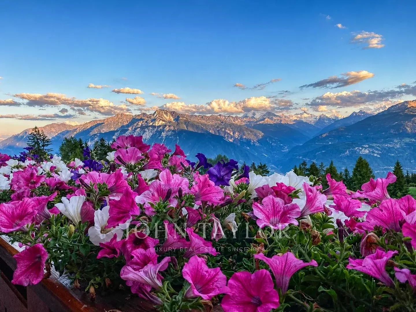Duplex-Penthouse di Lusso con Vista Alpina - Foto 11 di 11