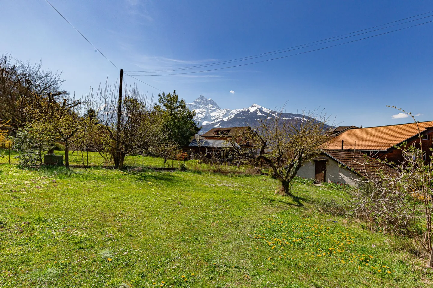 Dorfhaus mit 3 Wohnungen - Foto 16 von 16
