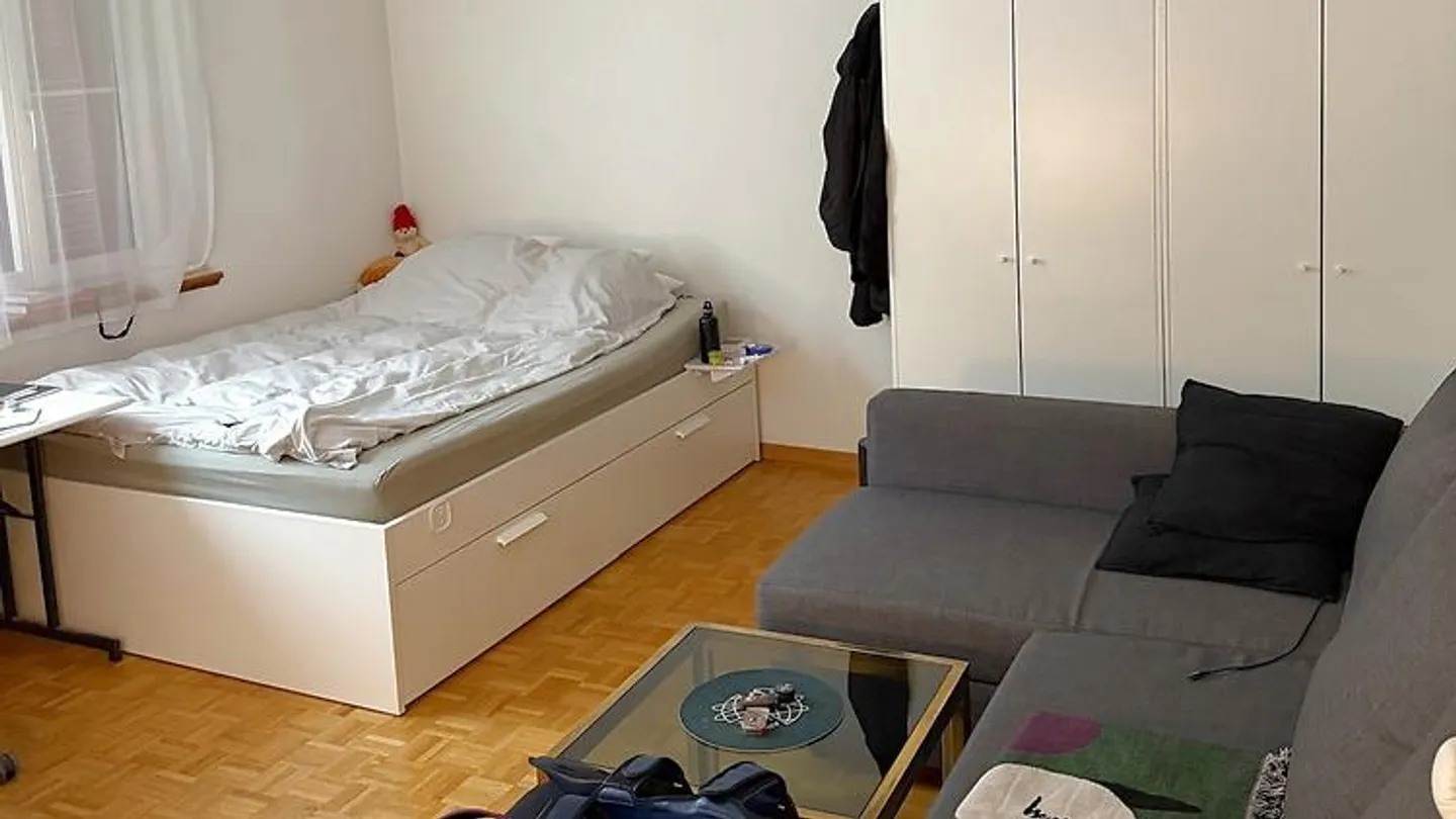 1 ROOM APARTMENT IN ZURICH - DISTRICT 1 NIEDERDORF, FURNISHED, TEMPORARY - Photo 1 of 6