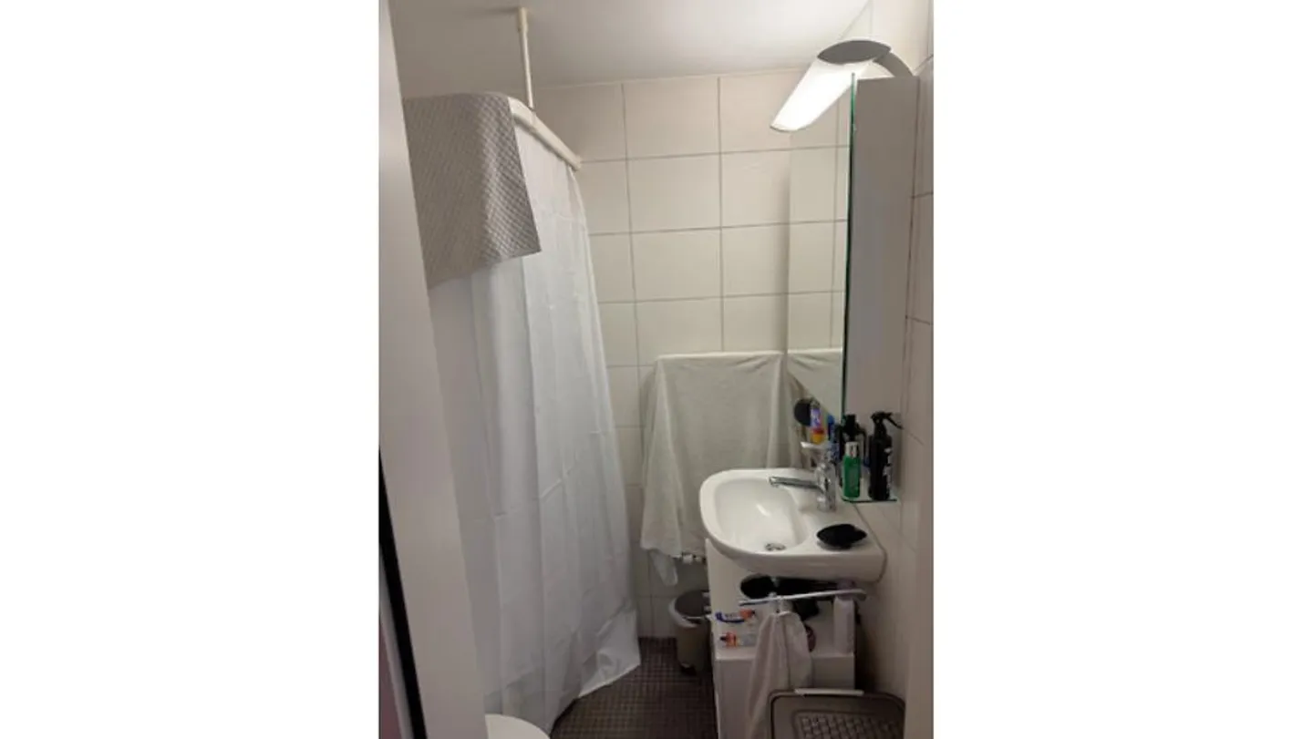 1 ROOM APARTMENT IN ZURICH - DISTRICT 1 NIEDERDORF, FURNISHED, TEMPORARY - Photo 5 of 6