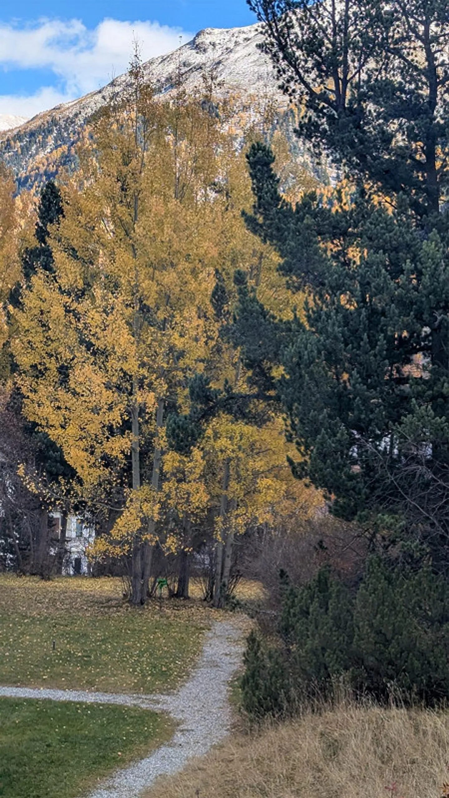 Luminoso appartamento di 2,5 stanze in affitto per la stagione invernale o per periodi più lunghi - Foto 1 di 1