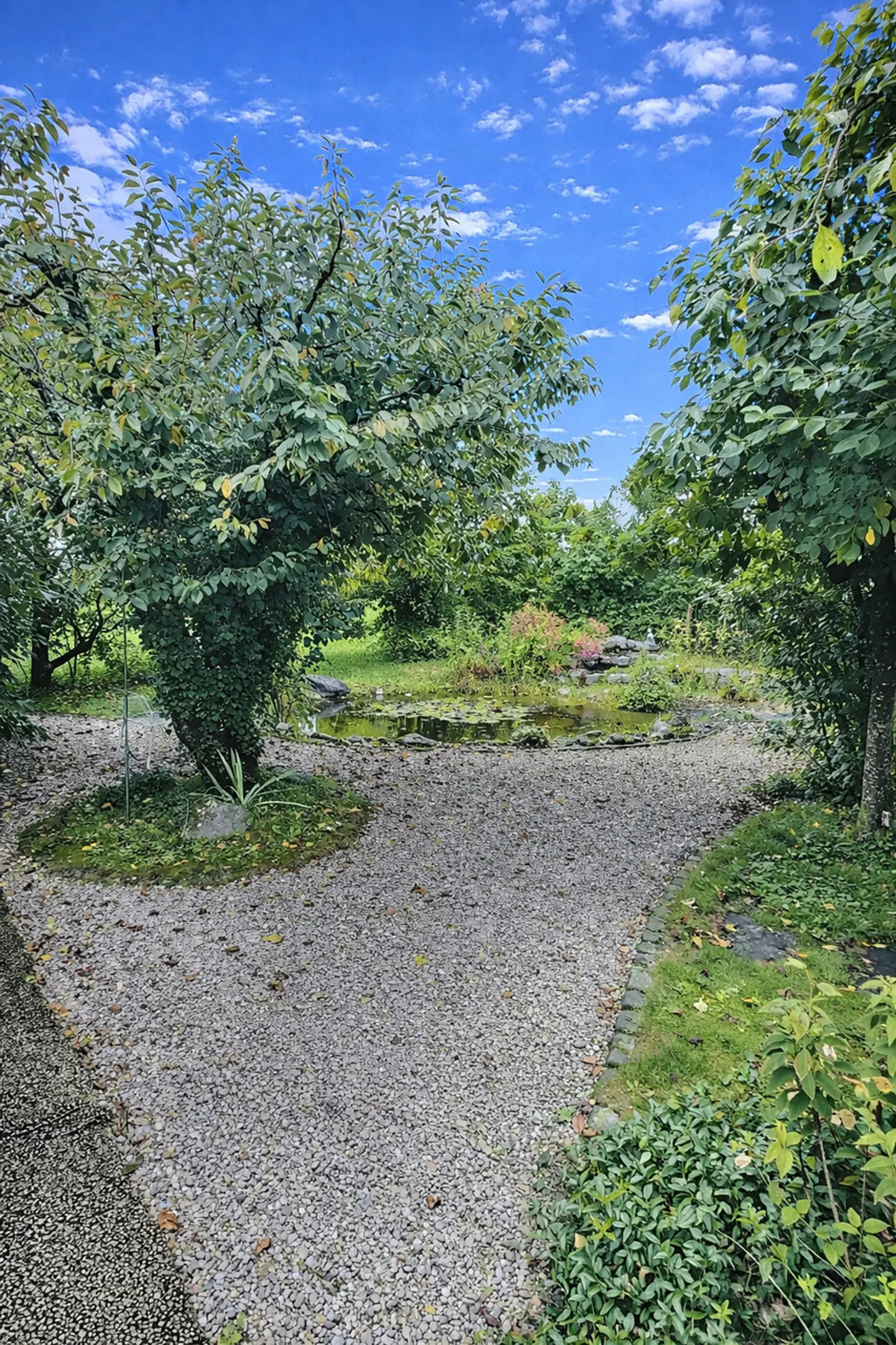 Grande casa familiare in viager occupato senza affitto - Foto 6 di 24