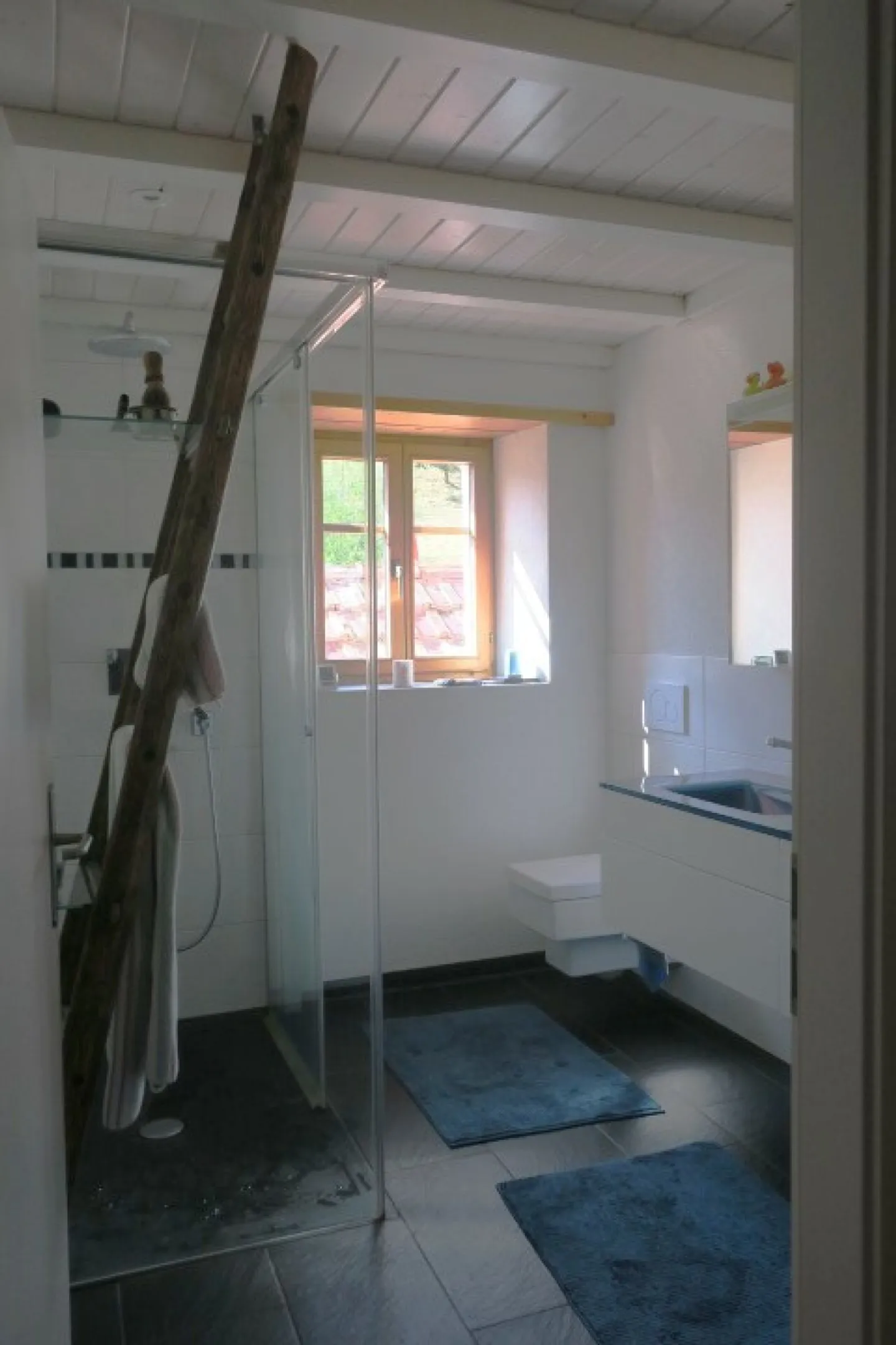 Propriété avec de nombreuses possibilités d'utilisation et un grand potentiel - Photo 8 sur 13