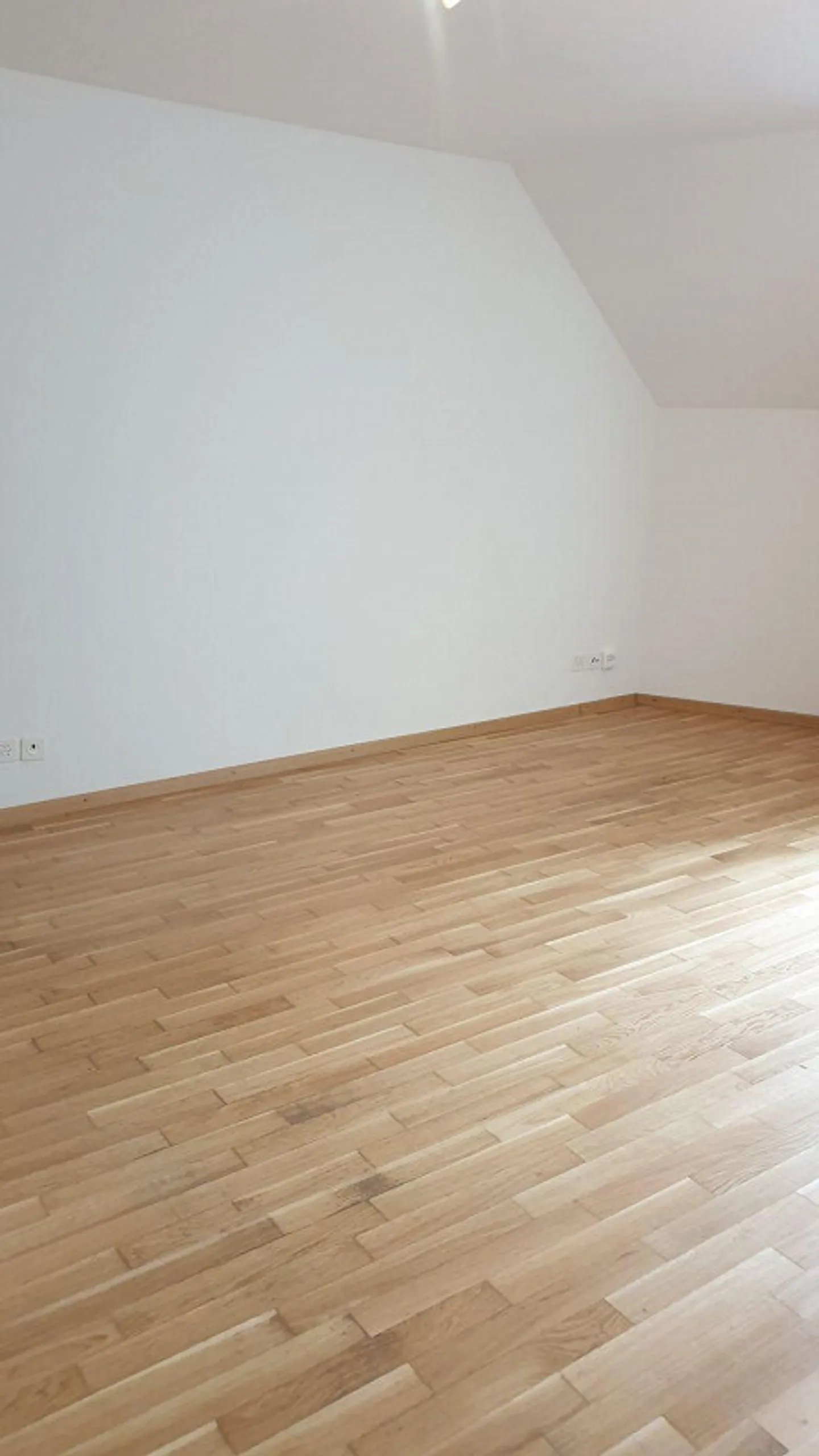 Vie centrale à Saint-Gall - Photo 6 sur 7