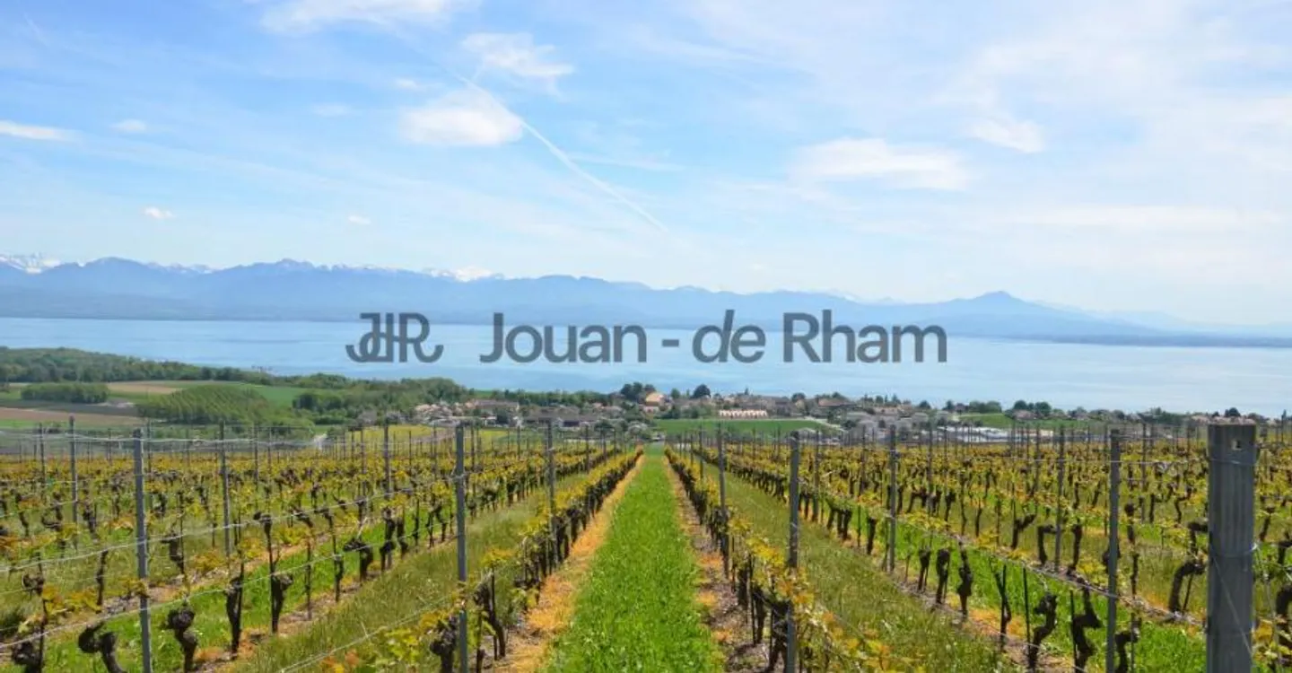 Magnificent property in the heights of Nyon - Photo 1 of 1