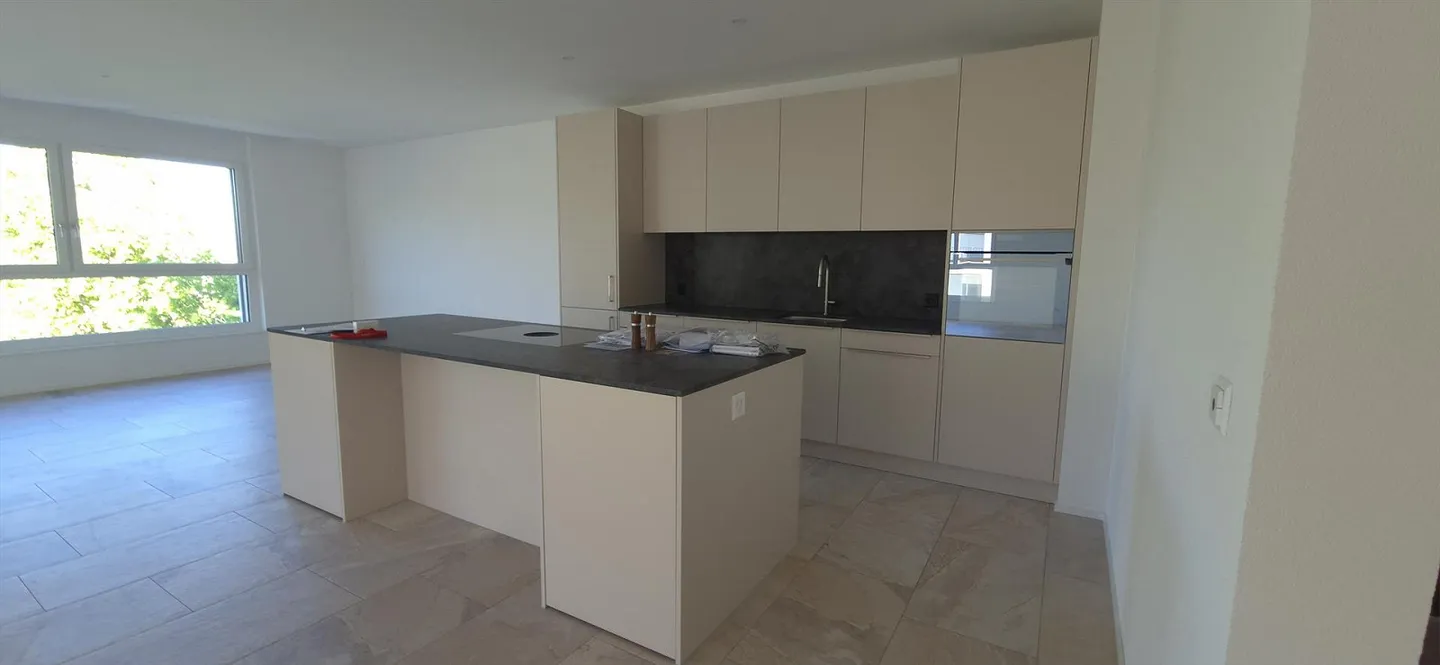Appartamento 5.5 stanze in standard di proprietà - nuova costruzione - Foto 2 di 14