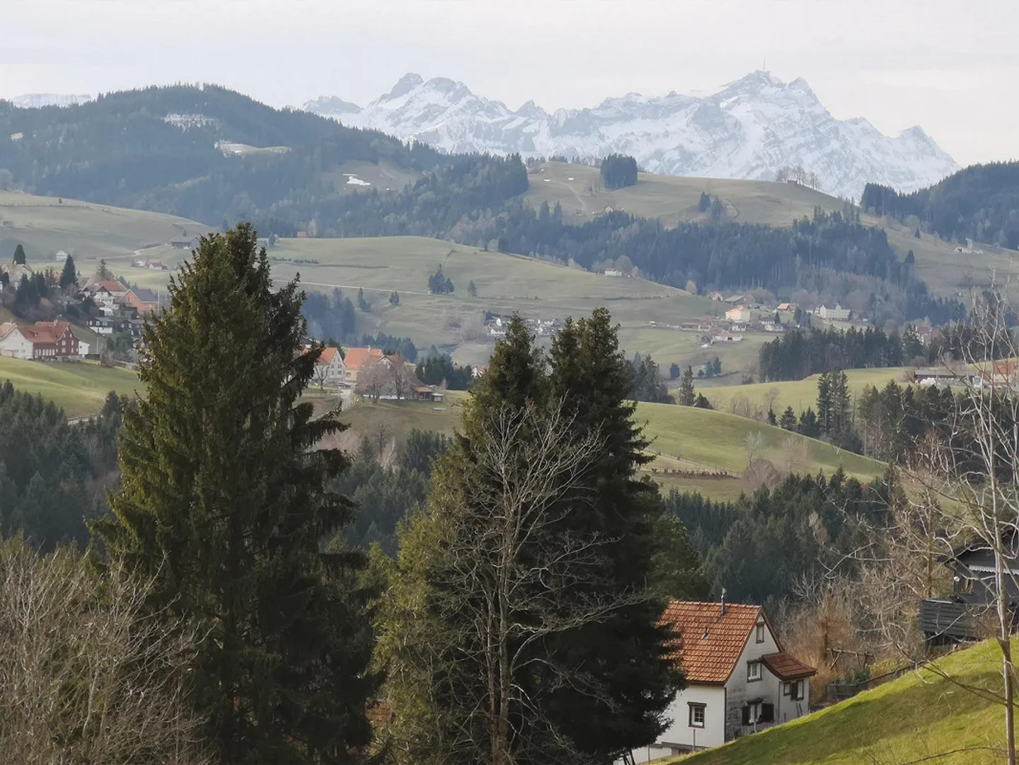 Charmante Wohnung im Appenzeller Stil - Foto 10 von 11