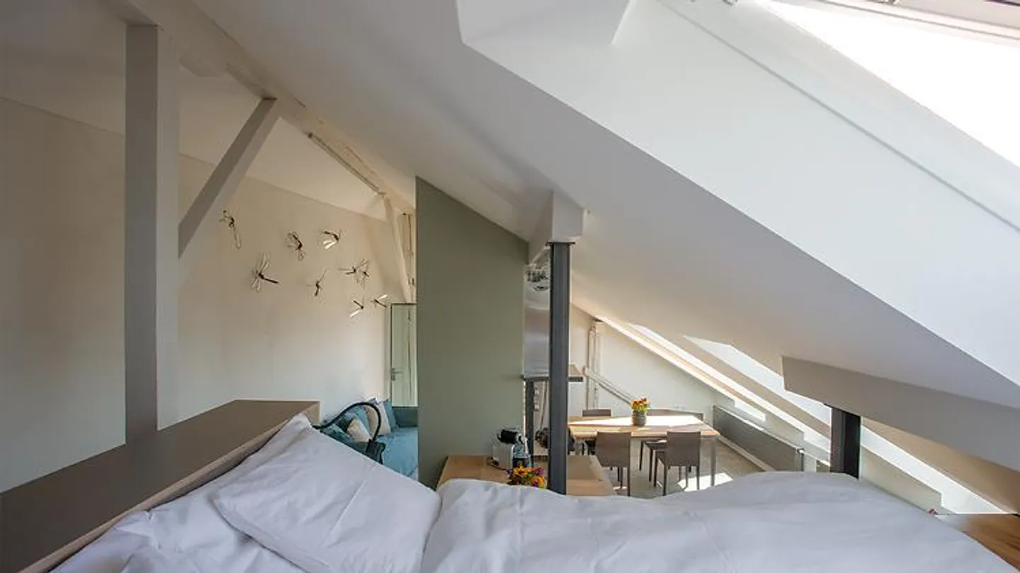 1 ROOM APARTMENT IN BELLERIVE (VD), FURNISHED, FIXED TERM - Photo 5 of 10