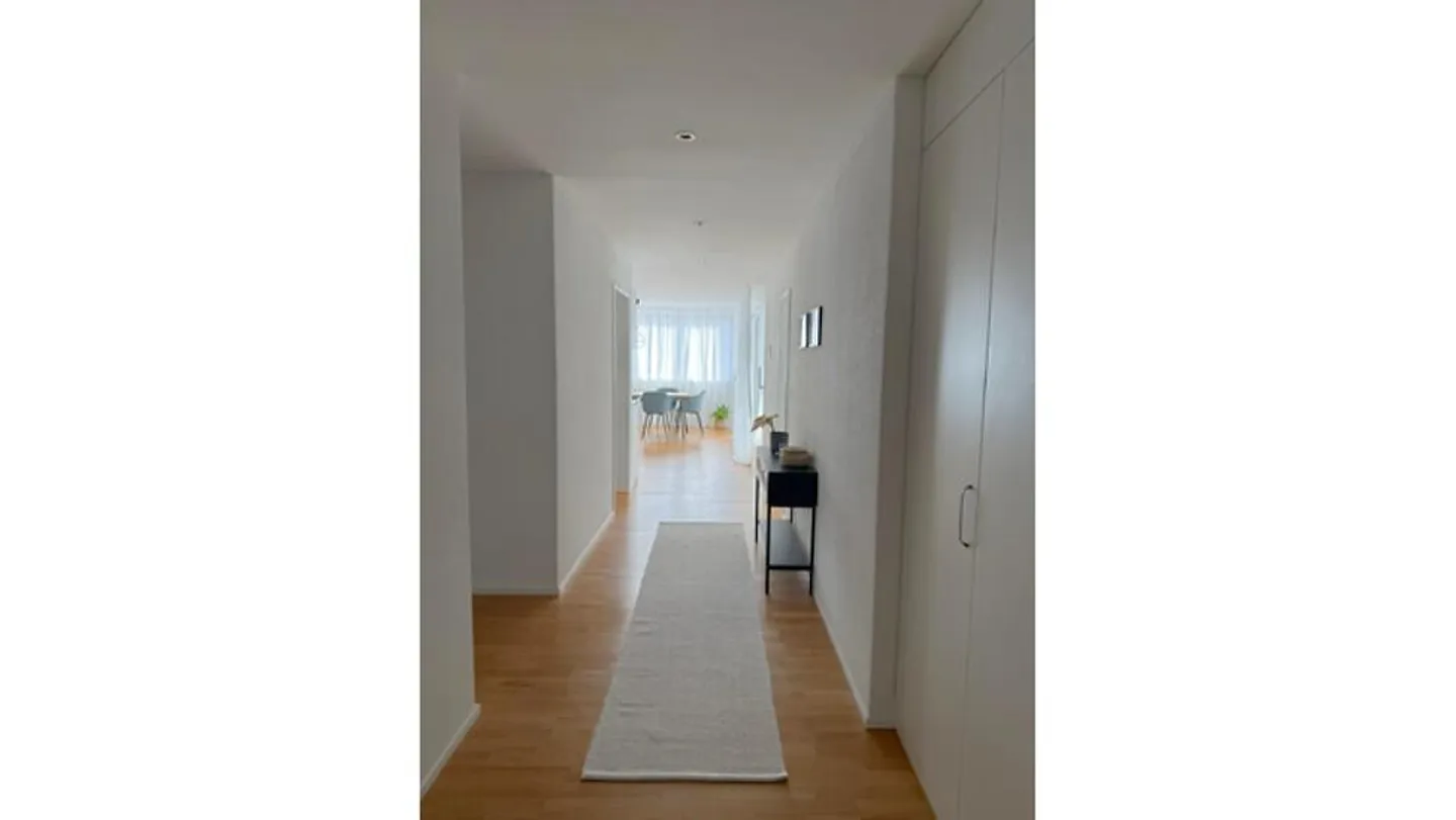 3½ ROOM APARTMENT IN BRUNNEN (SZ), FURNISHED, TEMPORARY - Photo 7 of 9