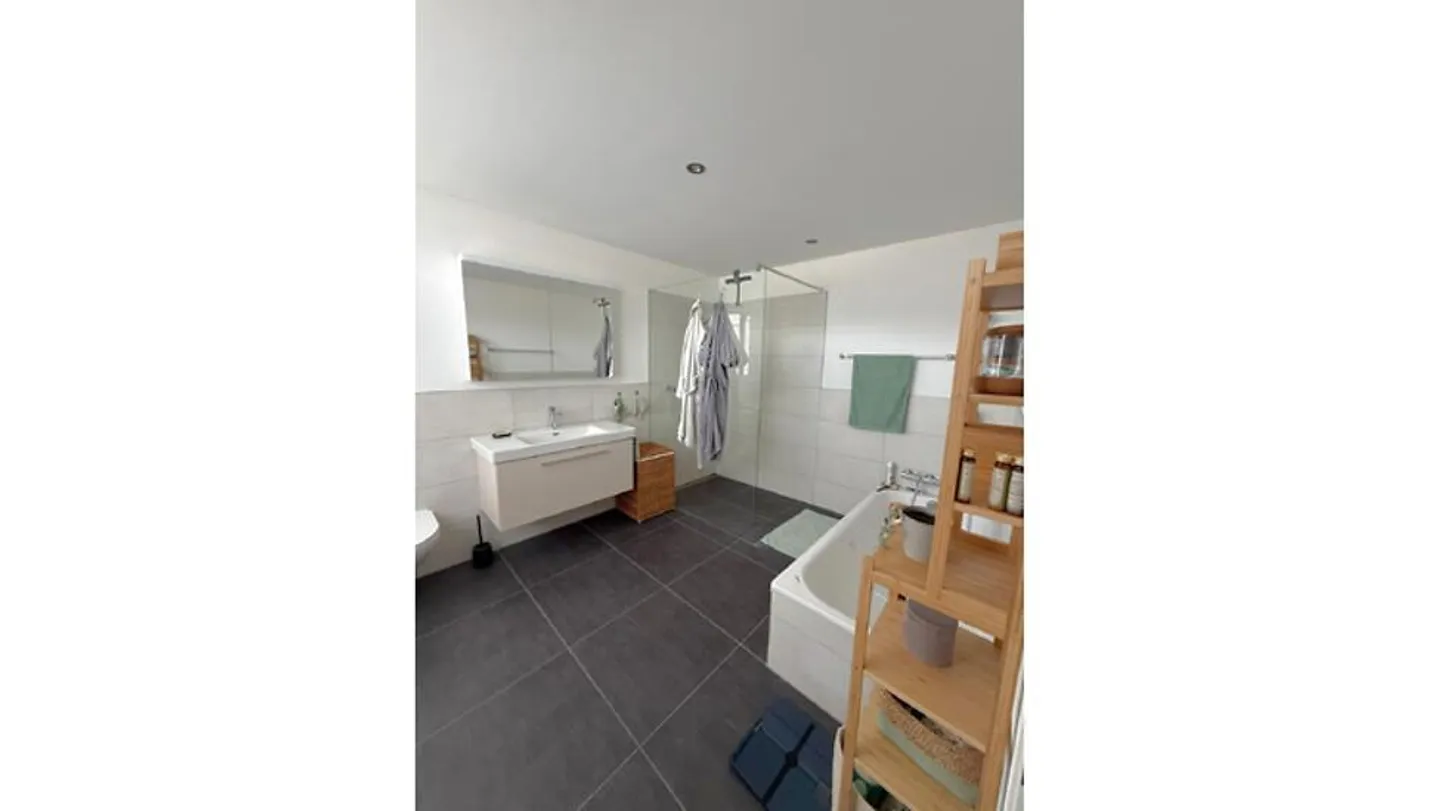 3½ ROOM APARTMENT IN BRUNNEN (SZ), FURNISHED, TEMPORARY - Photo 8 of 9