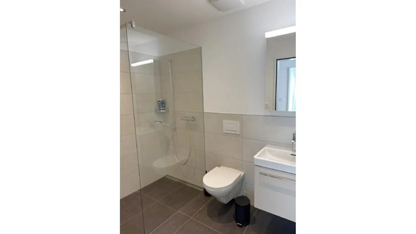 3½ ROOM APARTMENT IN BRUNNEN (SZ), FURNISHED, TEMPORARY - Photo 9 of 9