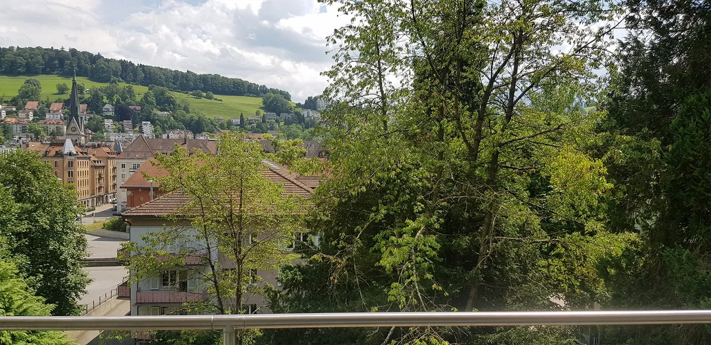 Saint-Gall - Au cœur de la ville et pourtant dans le vert - Photo 8 sur 11