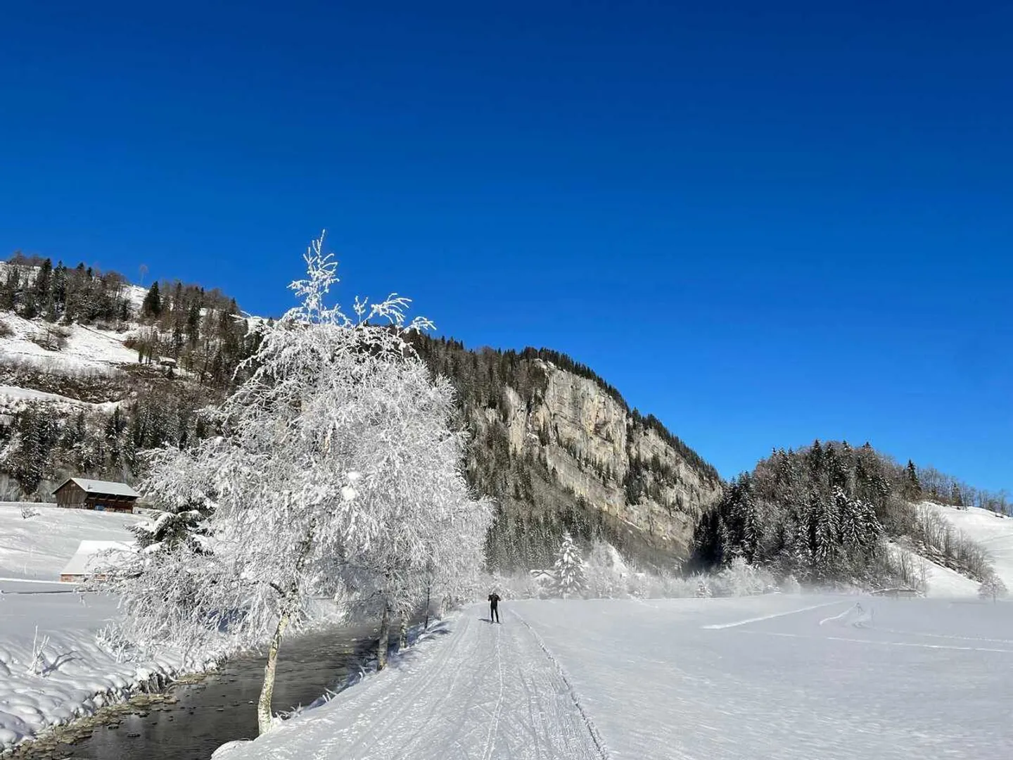 NEW BUILD - 4.5-Room Apartment with Lake View in Euthal - Photo 6 of 6
