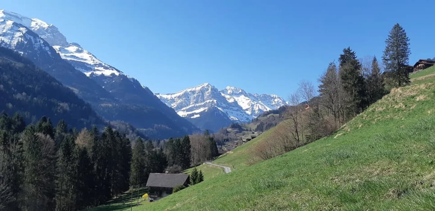 Grande parcelle de terrain à construire à Val-d'Illiez, entièrement équipée - Photo 3 sur 13