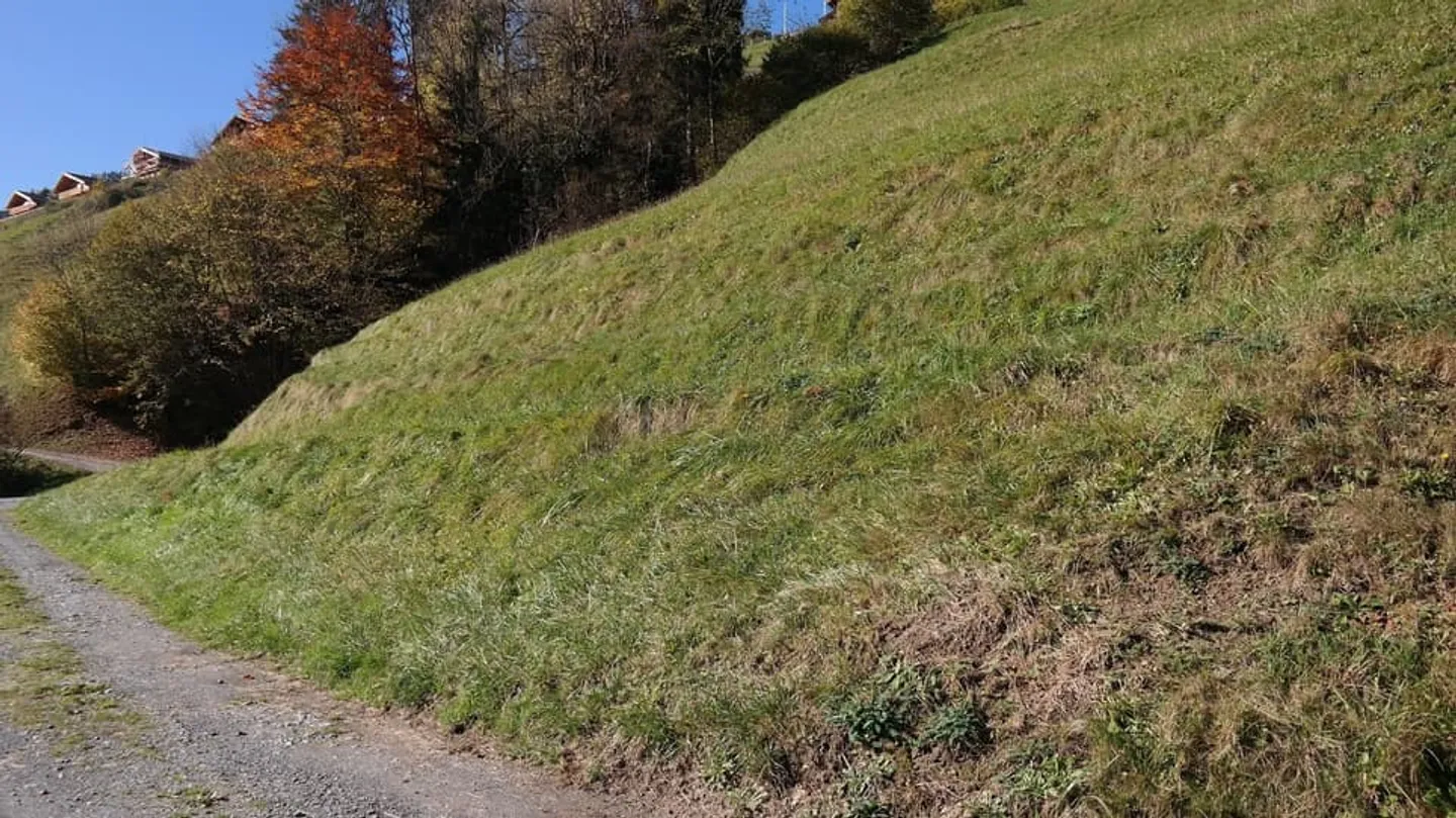 Grande parcelle de terrain à construire à Val-d'Illiez, entièrement équipée - Photo 4 sur 13
