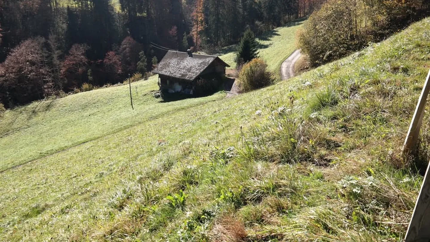Grande parcelle de terrain à construire à Val-d'Illiez, entièrement équipée - Photo 7 sur 13
