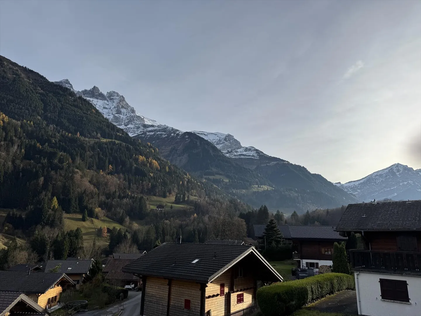 3.5 Room Apartment - Photo 5 of 5