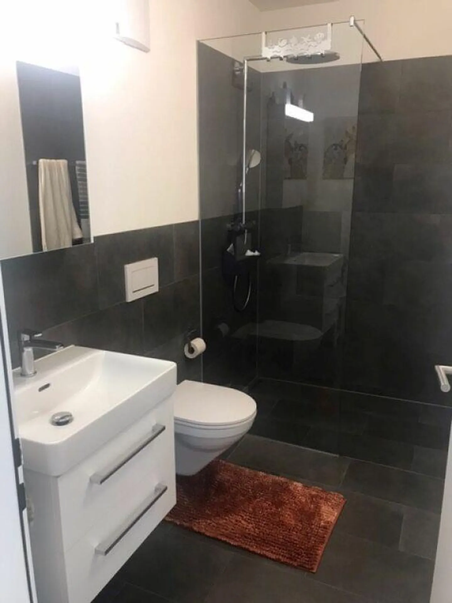 Einzigartiges Studio in Bad Ragaz - Foto 6 von 8