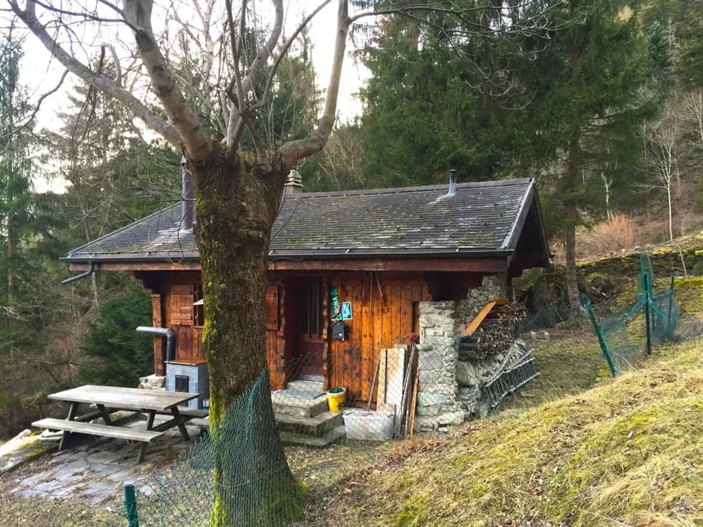 Cozy Mountain Cabin in Forest Clearing - Photo 10 of 13