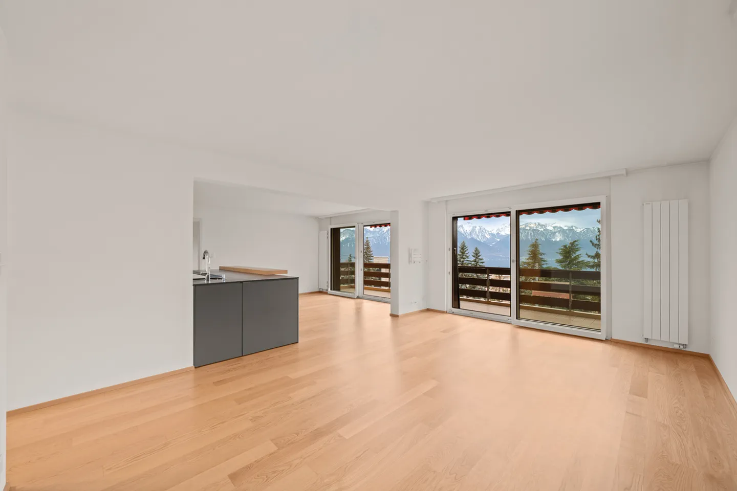 Opportunità unica appartamento spazioso in un contesto tranquillo con vista lago - Foto 1 di 15