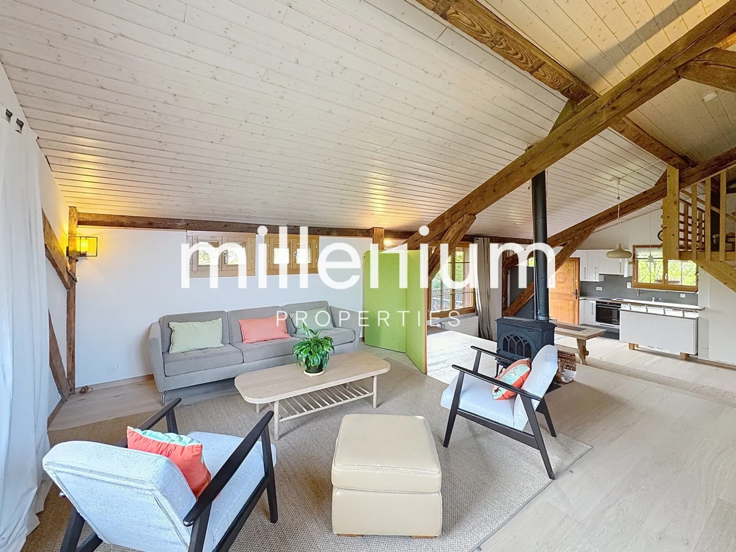 Beautiful furnished Loft-style apartment in Plan-Les-Ouates - Photo 1 of 12