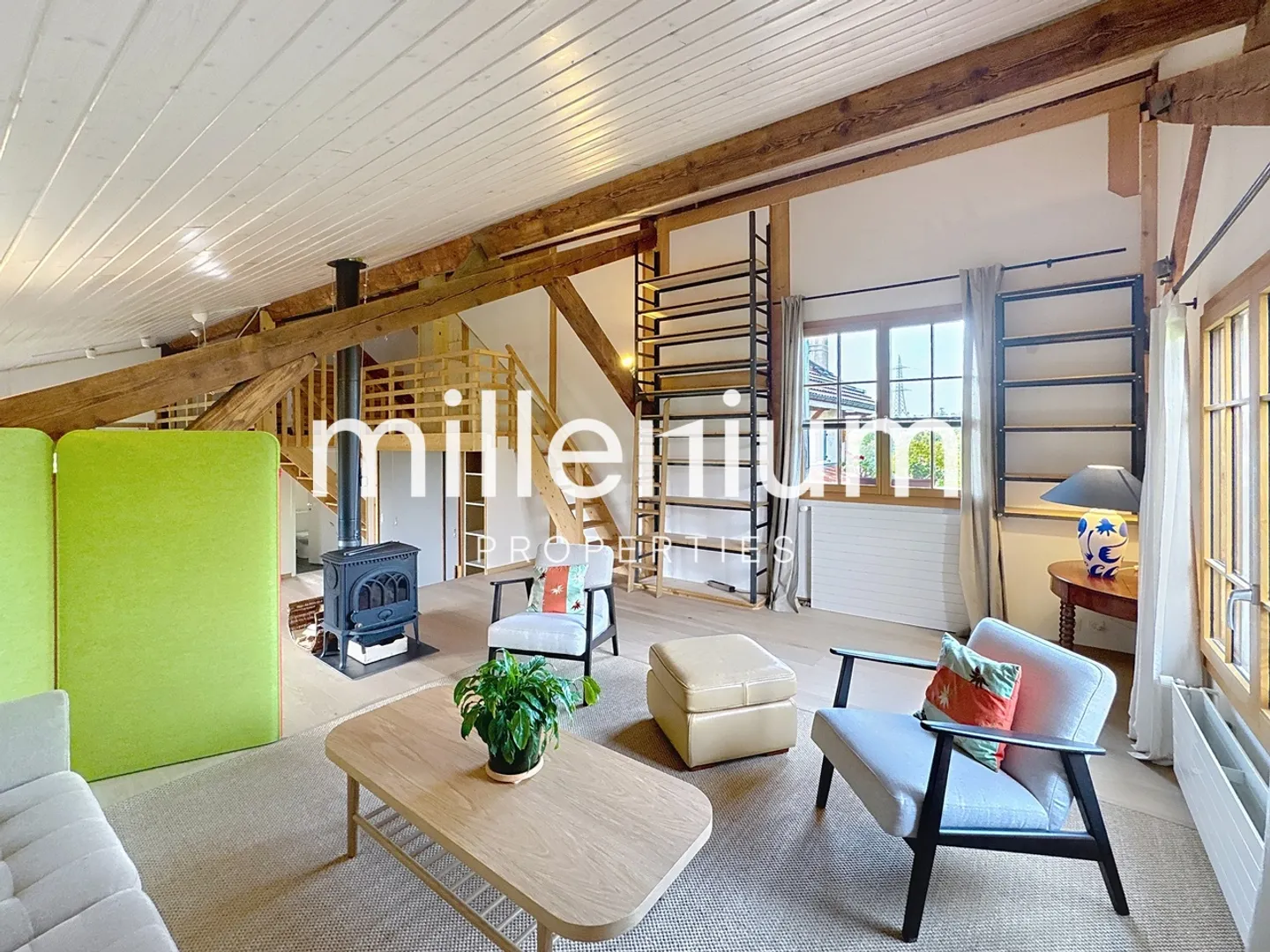 Beautiful furnished Loft-style apartment in Plan-Les-Ouates - Photo 2 of 12