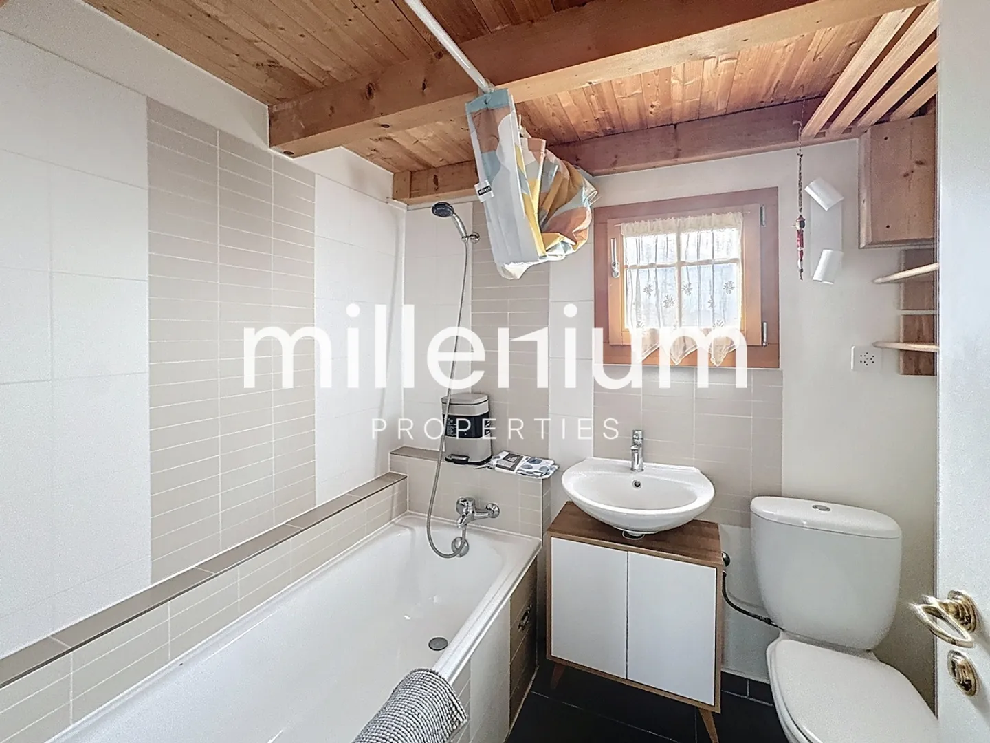 Beautiful furnished Loft-style apartment in Plan-Les-Ouates - Photo 6 of 12
