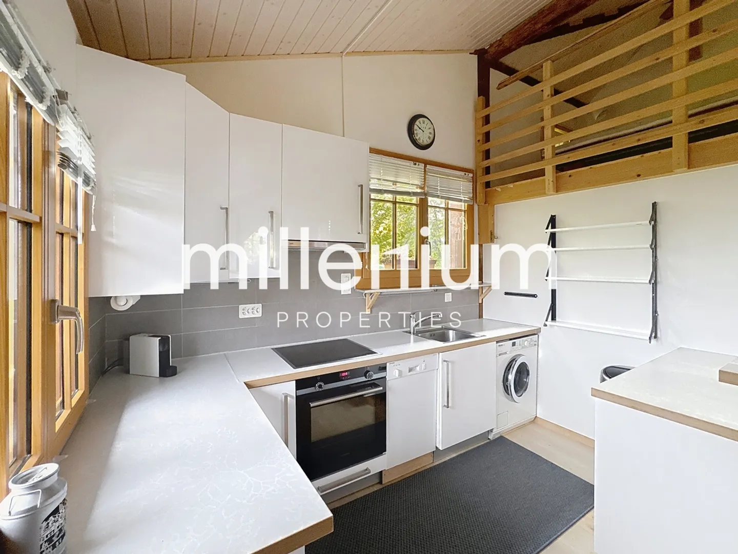 Beautiful furnished Loft-style apartment in Plan-Les-Ouates - Photo 9 of 12
