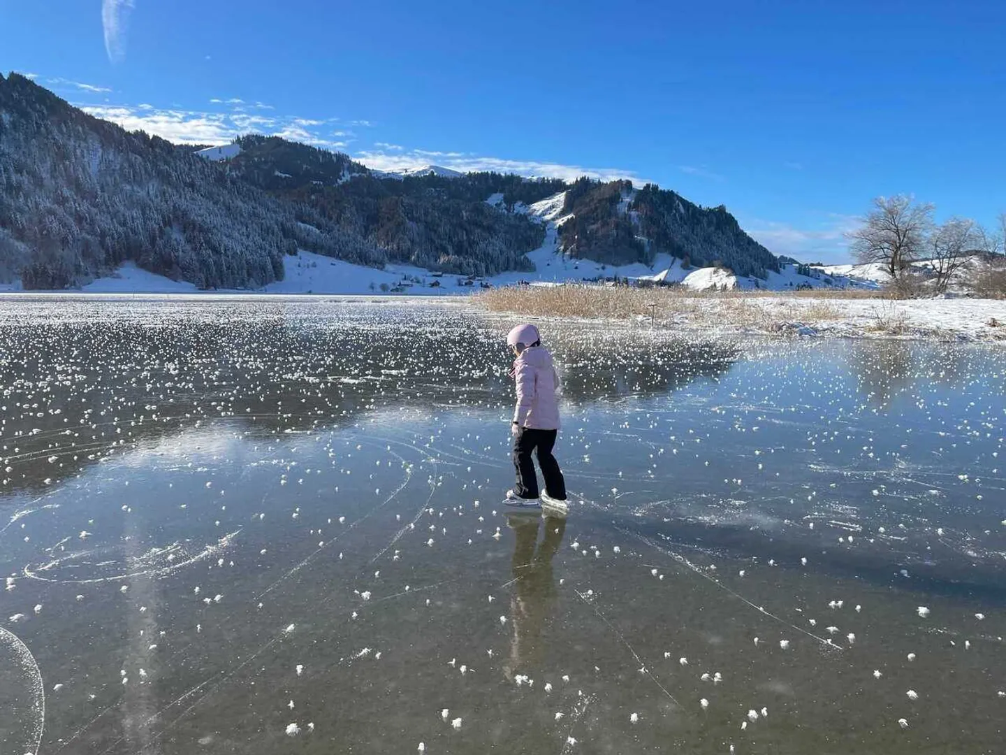 NUOVA COSTRUZIONE - Appartamento 2.5 locali con vista lago a Euthal - Foto 4 di 6