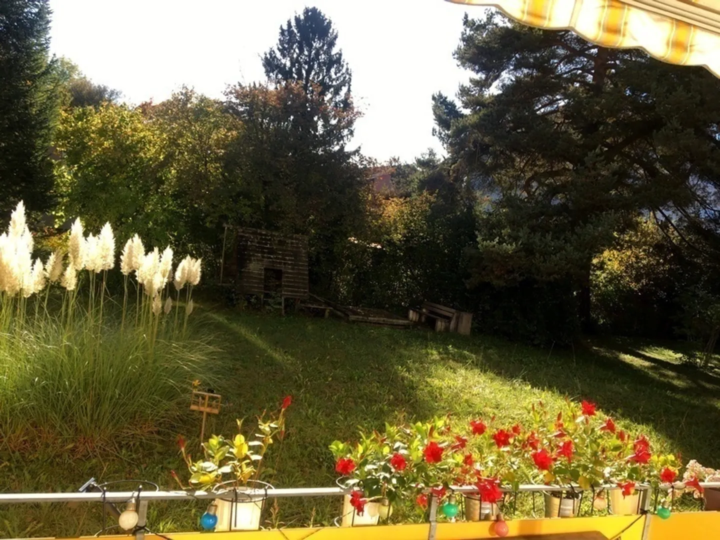 ONLY INDIVIDUAL 2.5 ROOM APARTMENT IN ZURICH - DISTRICT 11 AFFOLTERN, FURNISHED - Photo 9 of 10