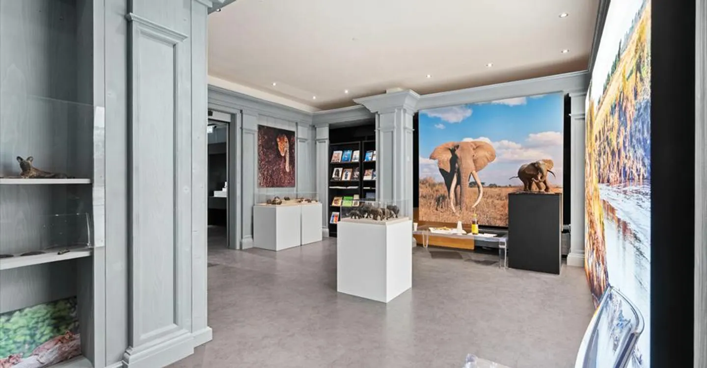 Commercial space 430m2 in shopping street - Photo 1 of 3