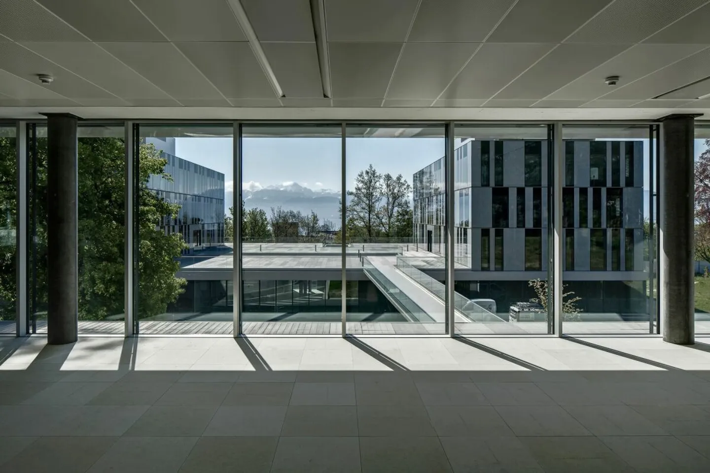 Edificio Minergie, Vaud, splendidi uffici con vista di 221 m2 - Foto 2 di 10