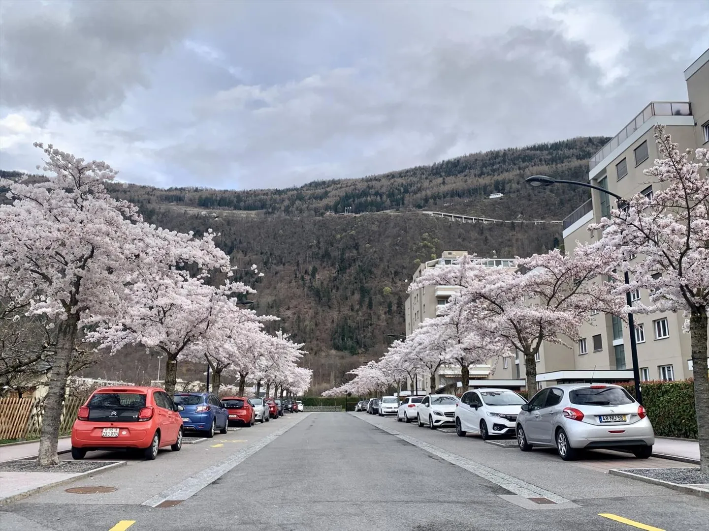 Appartamento di 3.5 locali nel cuore di Martigny - Foto 1 di 2