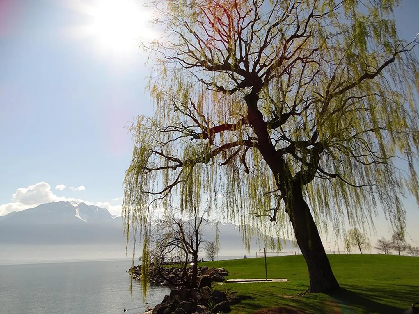 CLARENS - MAGNIFICENT INVESTMENT APARTMENT - 2.5 ROOMS - Photo 3 of 3