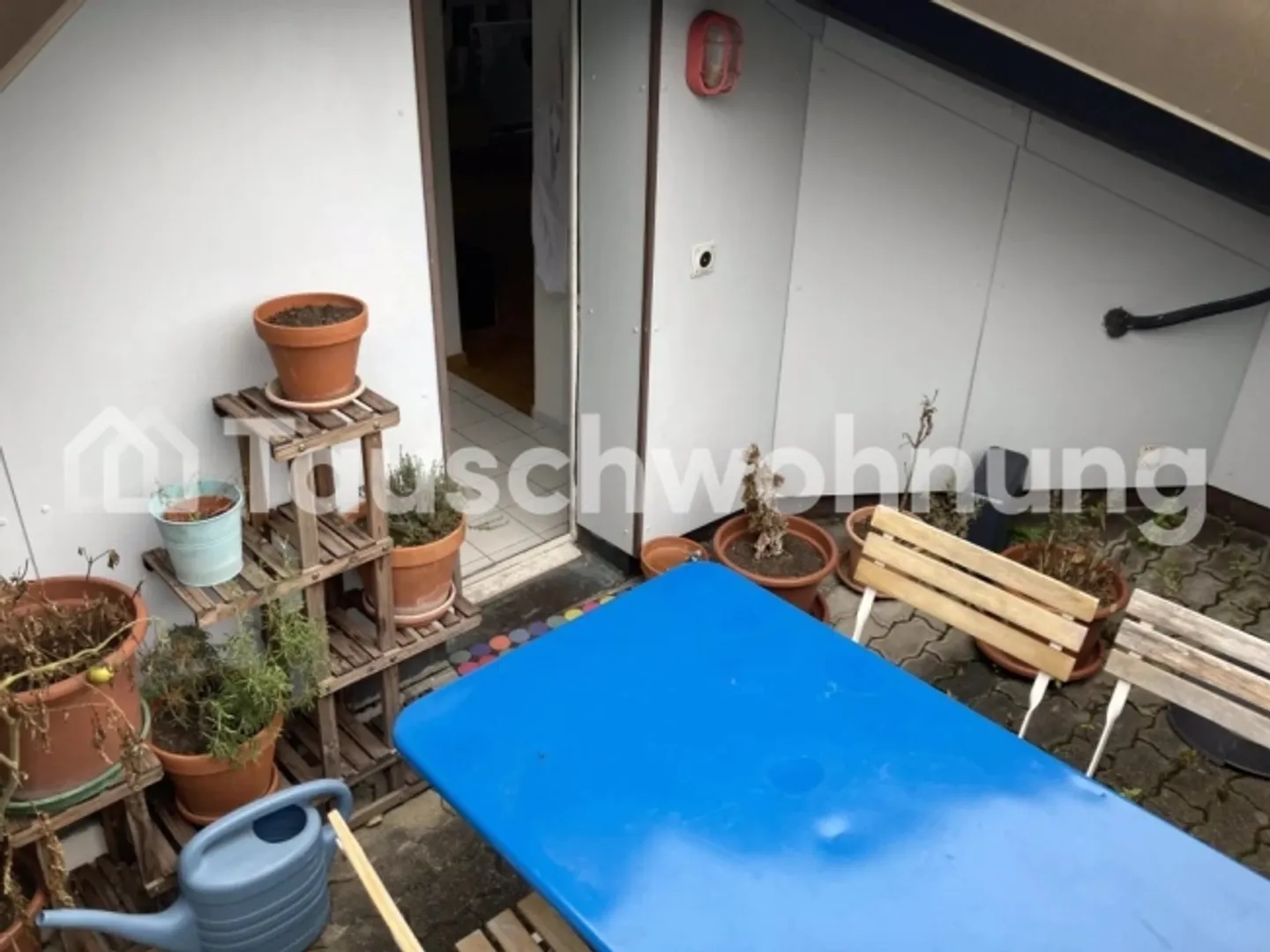 « Wohnung am Fuss des Üetlibergs» - Foto 11 von 12