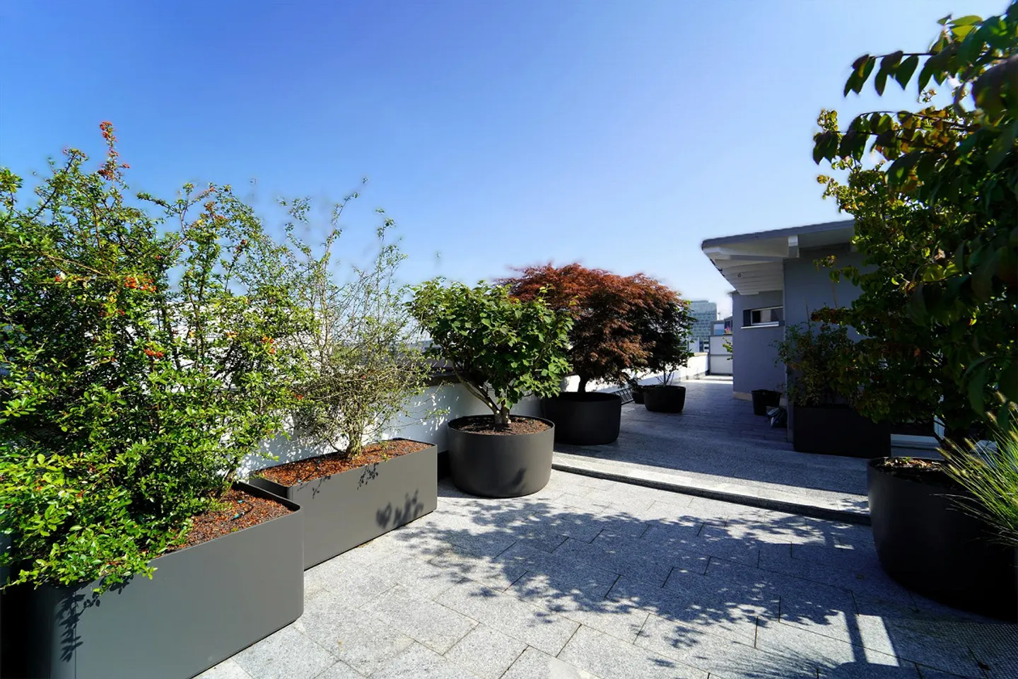 Appartamento attico da sogno di 5,5 stanze con terrazza di 180 m2 a Rotkreuz - Foto 9 di 11