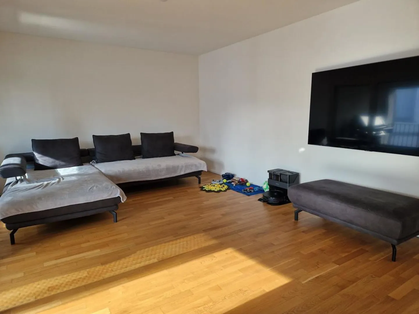Spacious Single Apartment in the Heart of Altstätten - Photo 3 of 10