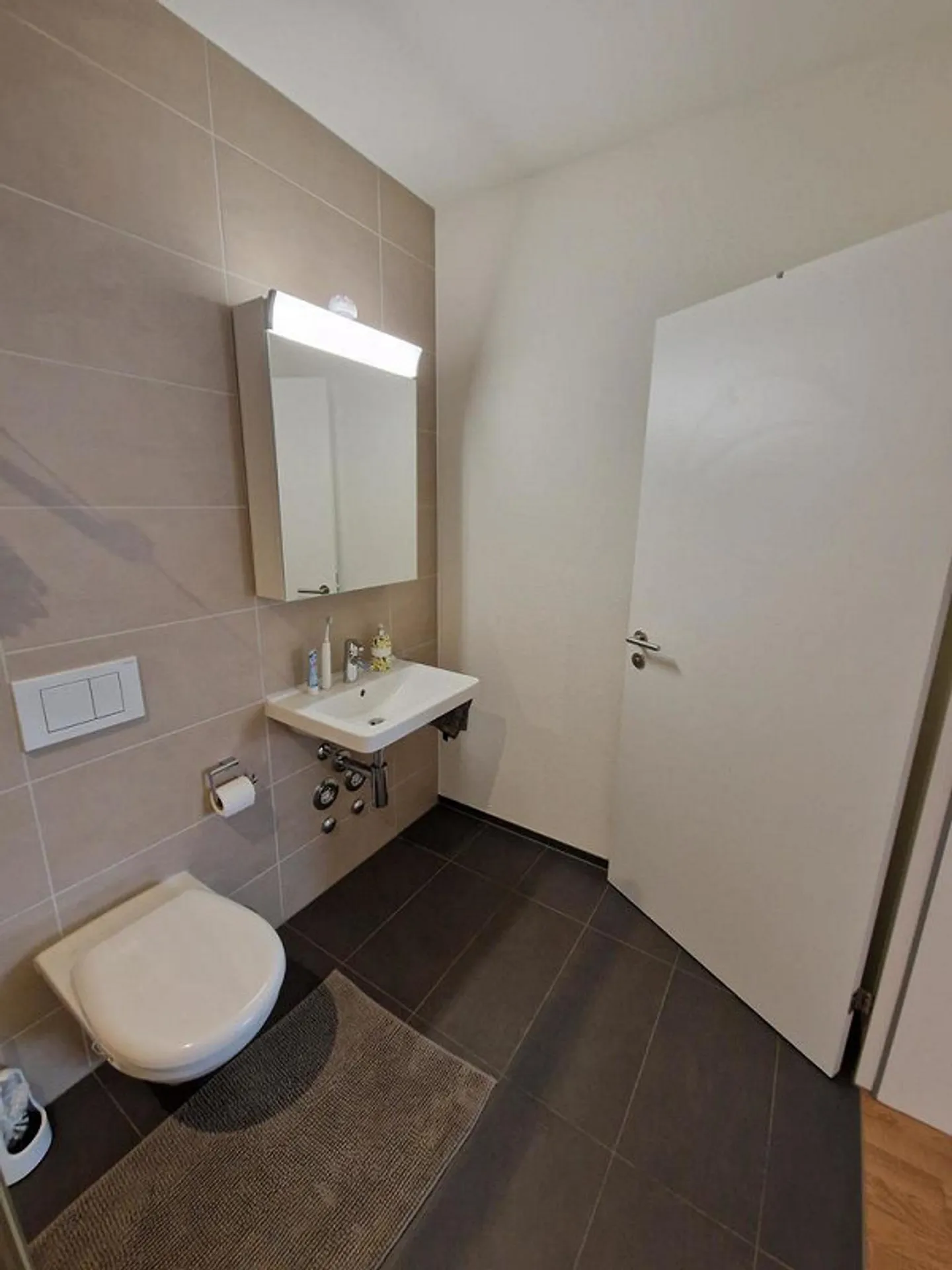 Spacious Single Apartment in the Heart of Altstätten - Photo 6 of 10