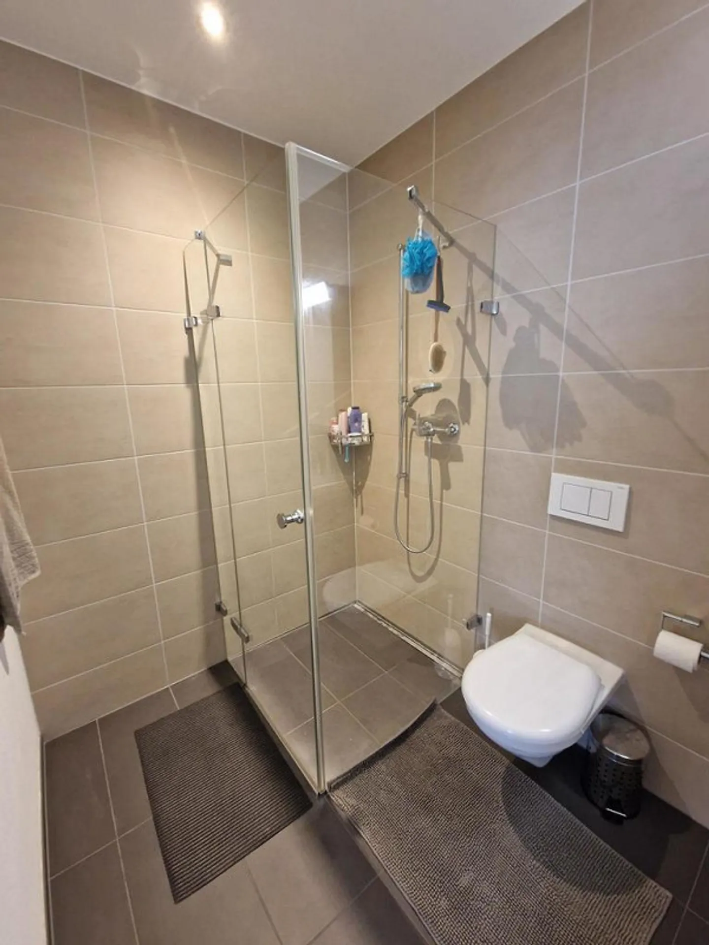 Spacious Single Apartment in the Heart of Altstätten - Photo 7 of 10