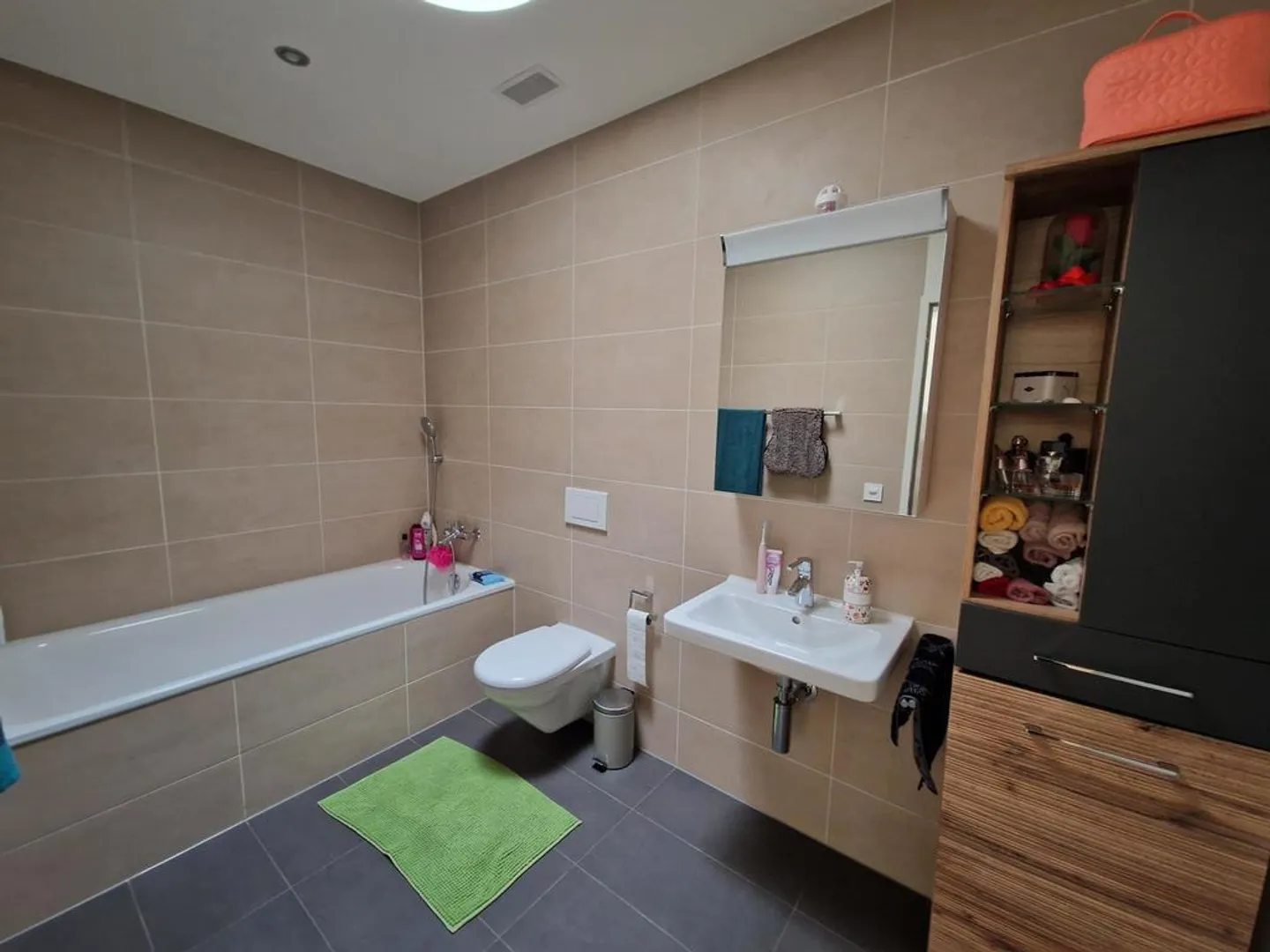 Spacious Single Apartment in the Heart of Altstätten - Photo 8 of 10