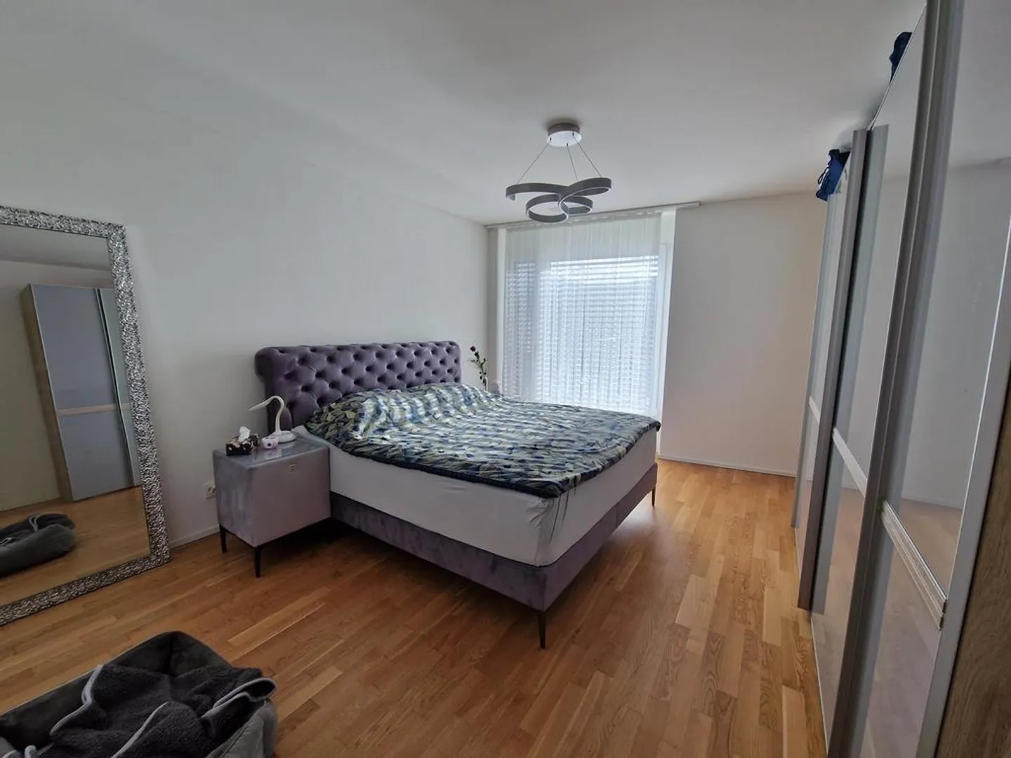 Spacious Single Apartment in the Heart of Altstätten - Photo 9 of 10