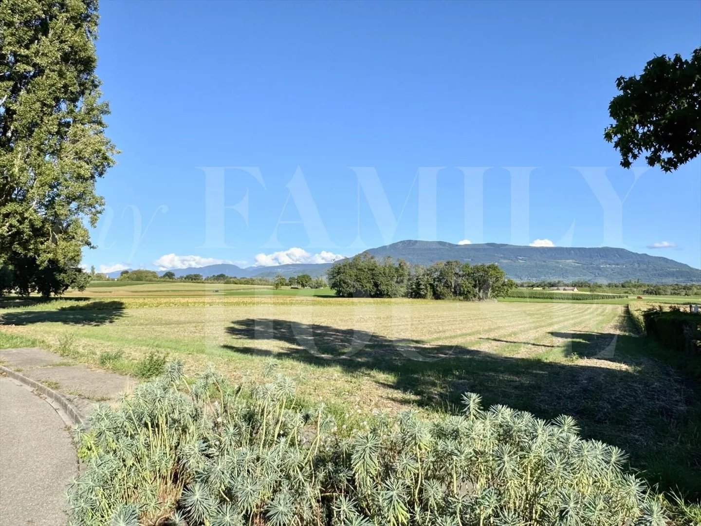 Attique 5 pièces - Photo 1 sur 4