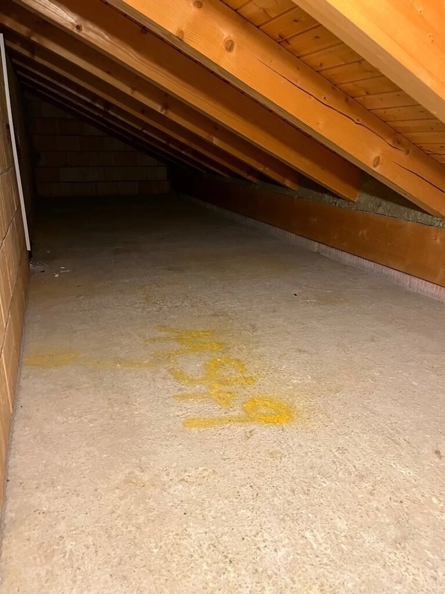 Appartamento affascinante di 2,5 stanze in mansarda! - Foto 9 di 9
