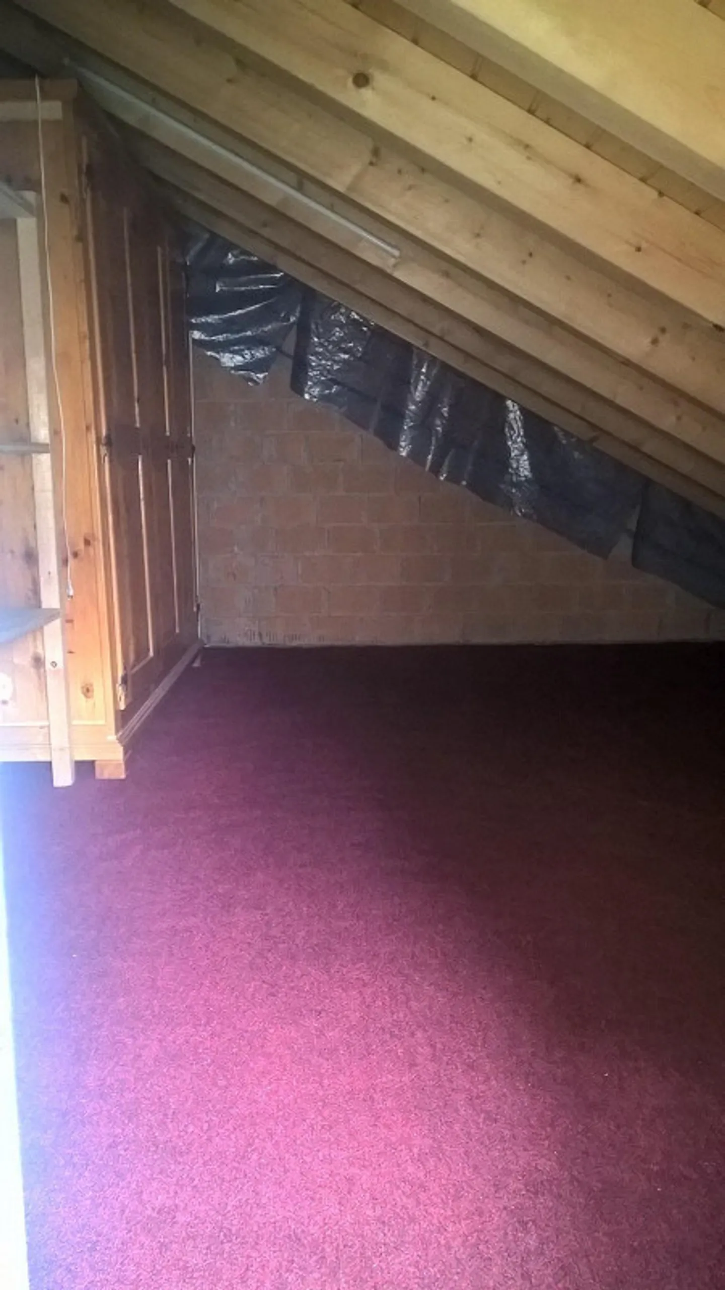 Vie proche de la nature avec un bon rapport qualité-prix dans le Hinterthurgau - Photo 24 sur 24