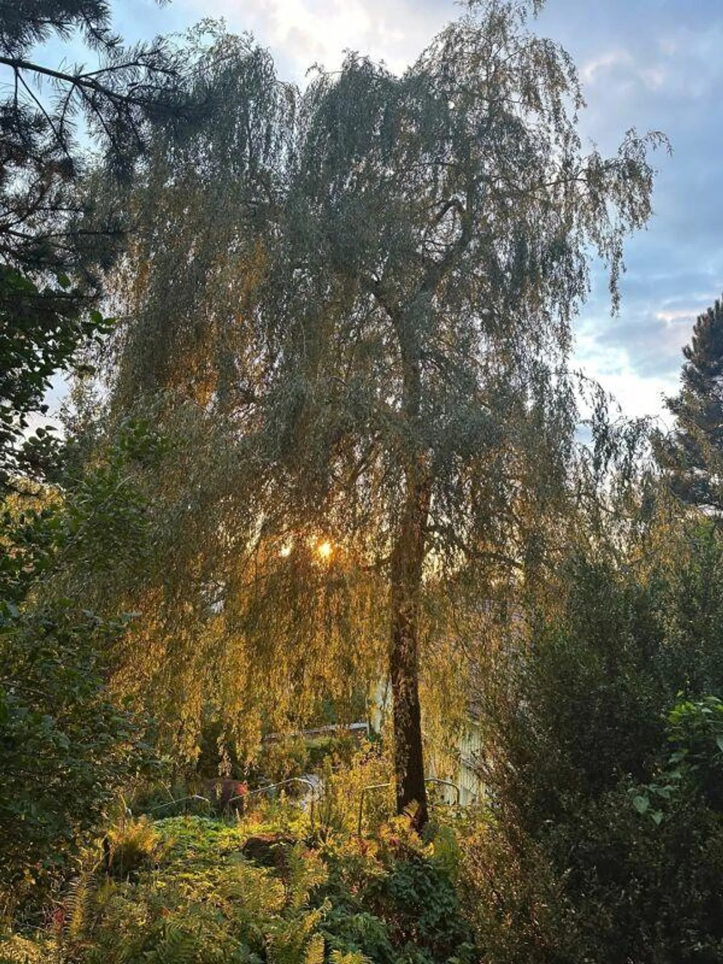 Ampia casa unifamiliare con giardino paradisiaco, sauna e laghetto - Foto 27 di 30